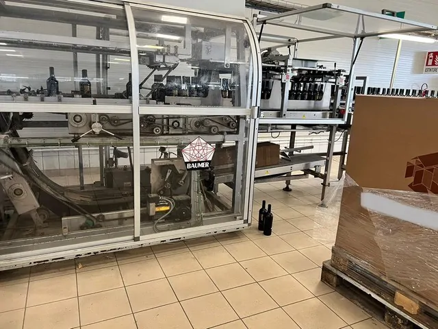 Inseritore di Alveari Usato Baumer flex 512/3 25 bph